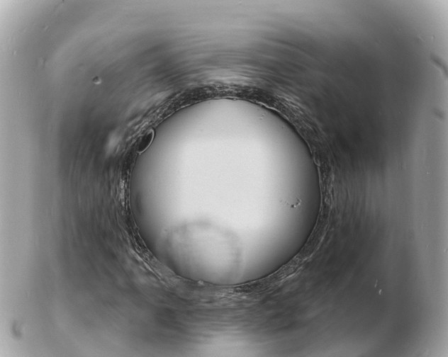 X0000103301061200808291125