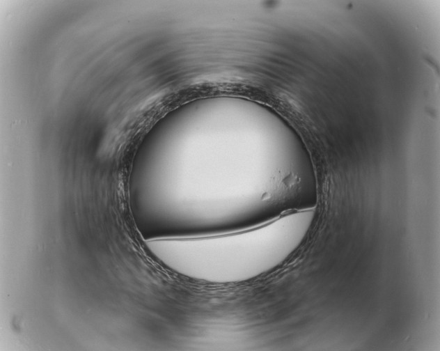 X0000103301062200808291125