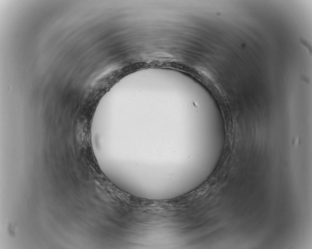 X0000103301063200808291125