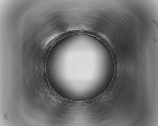X0000103301064200808291125