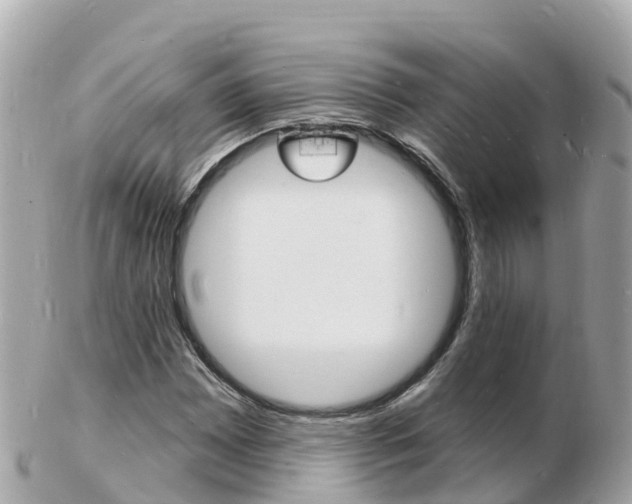 X0000103301065200808291125