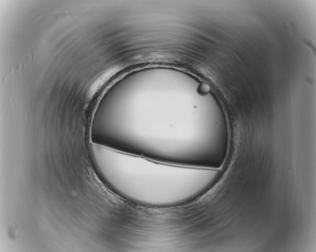 X0000103301066200808291125