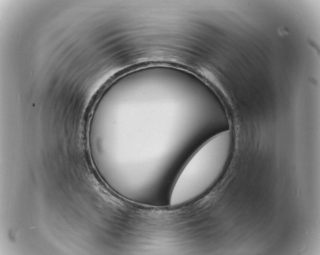 X0000103301068200808291125
