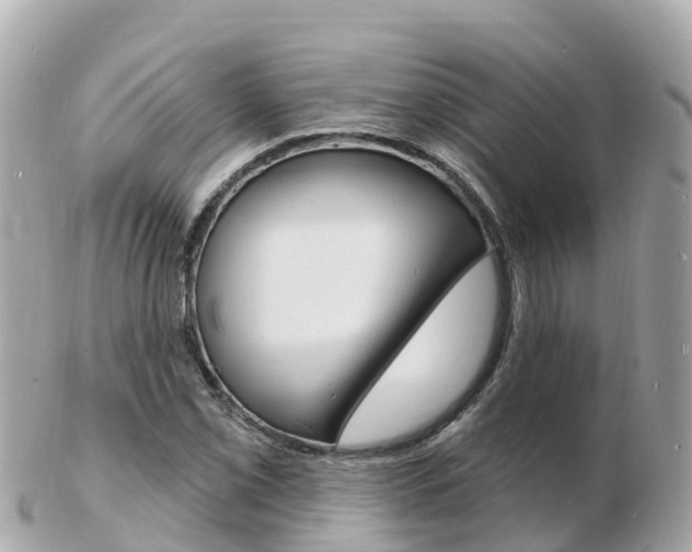 X0000103301069200808291125