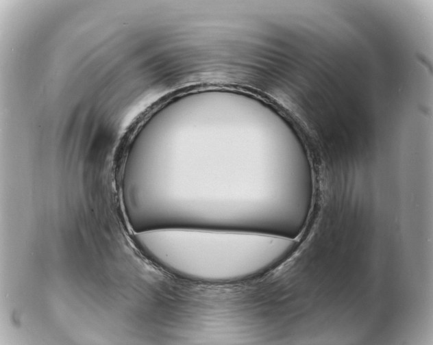 X0000103301070200808291125