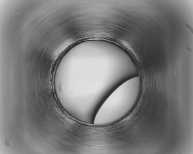 X0000103301071200808291125