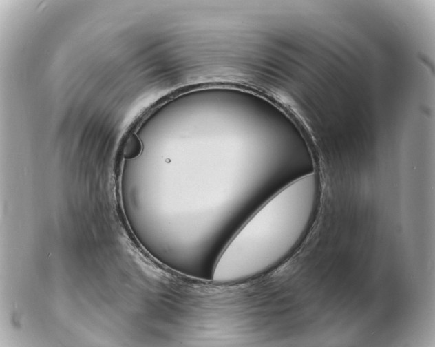 X0000103301072200808291125
