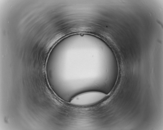 X0000103301073200808291125