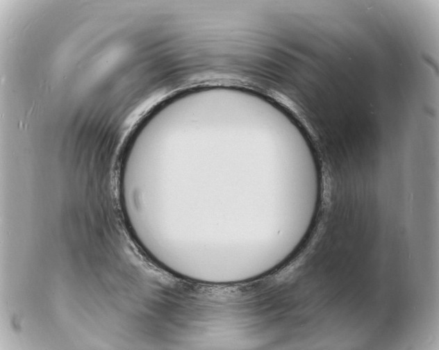 X0000103301074200808291125