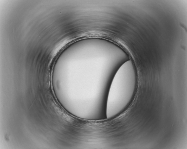 X0000103301075200808291125