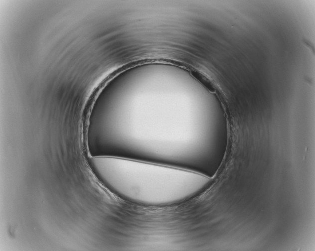 X0000103301076200808291125