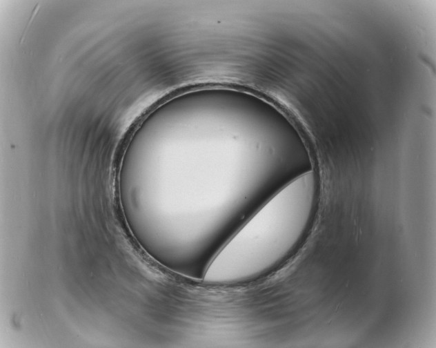 X0000103301077200808291125