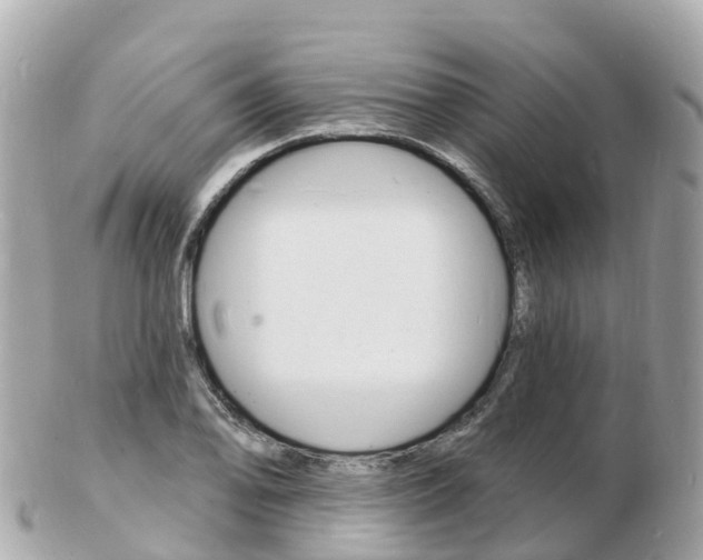 X0000103301078200808291125