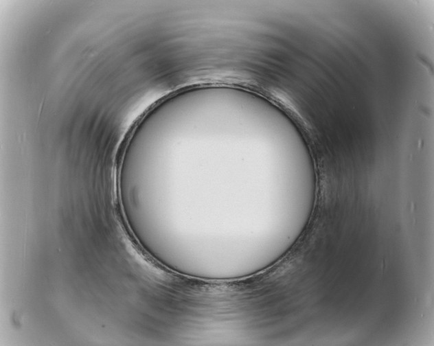 X0000103301079200808291125