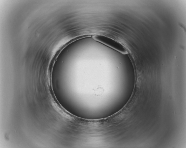 X0000103301080200808291125