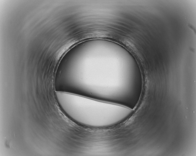 X0000103301081200808291125