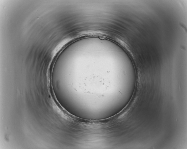 X0000103301082200808291125
