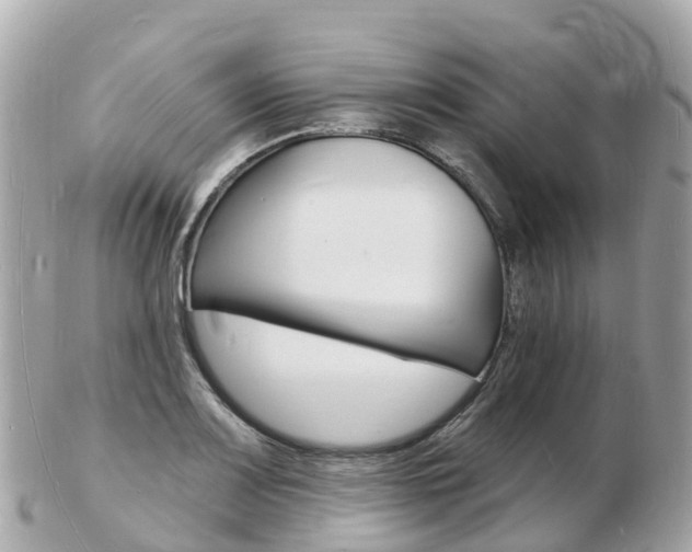 X0000103301083200808291125