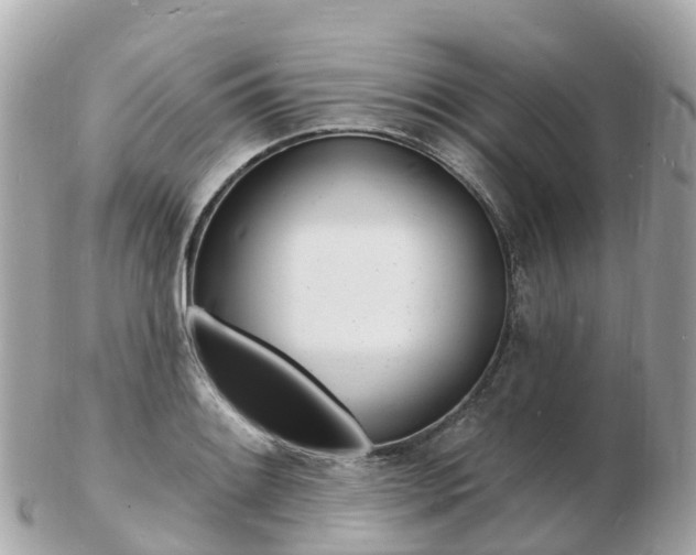 X0000103301084200808291125