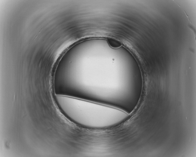 X0000103301085200808291125