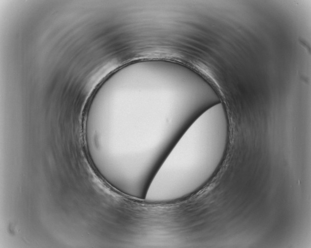 X0000103301087200808291125
