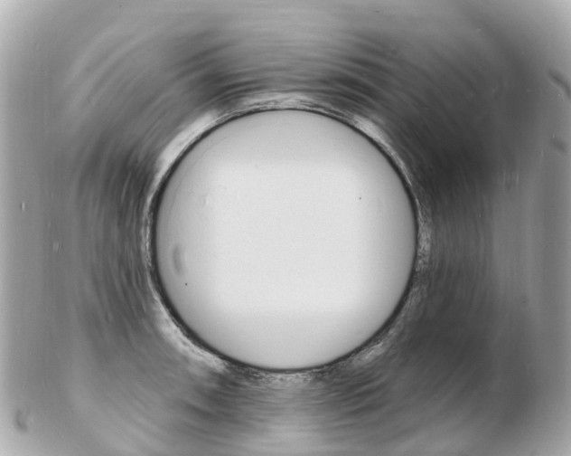 X0000103301090200808291125