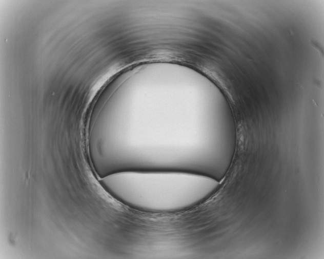 X0000103301091200808291125