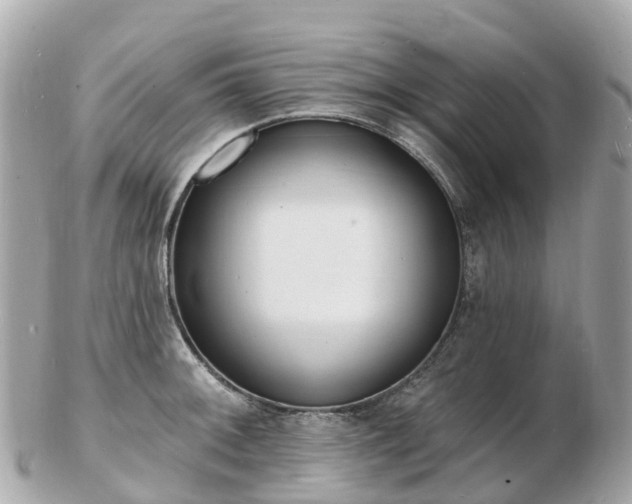 X0000103301092200808291125