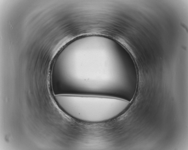 X0000103301093200808291125