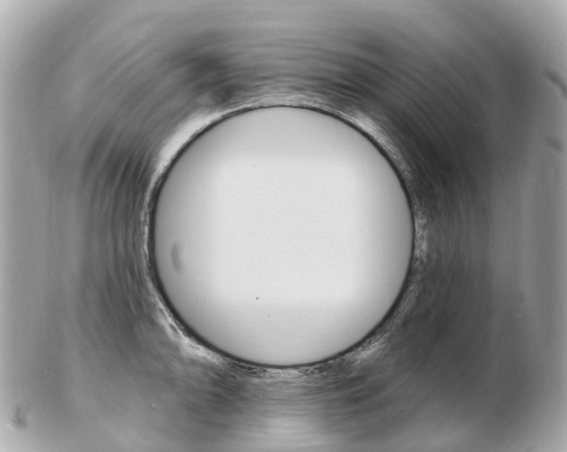 X0000103301094200808291125