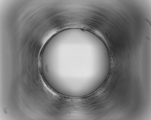 X0000103301095200808291125