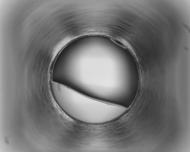 X0000103301096200808291125