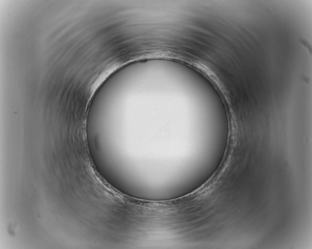 X0000103301097200808291125