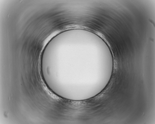 X0000103301098200808291125