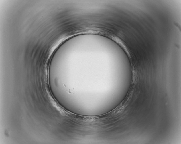 X0000103301099200808291125
