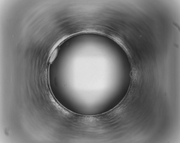 X0000103301100200808291125