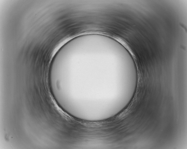 X0000103301101200808291125