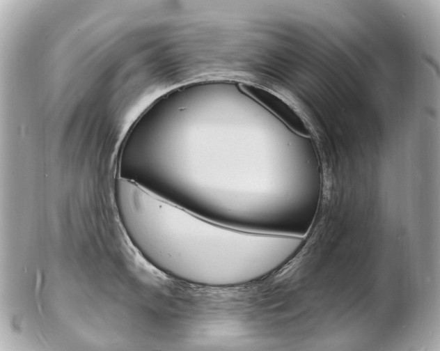 X0000103301102200808291125