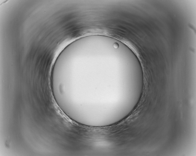 X0000103301104200808291125