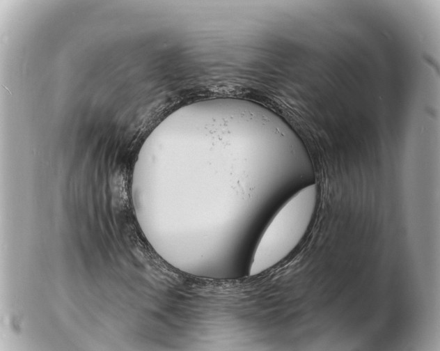 X0000103301106200808291124