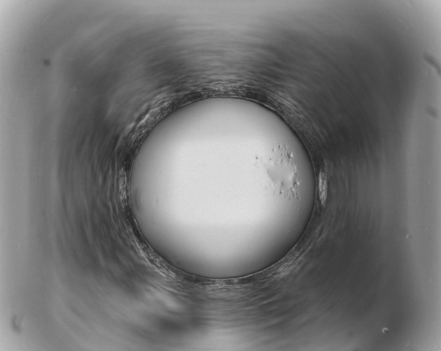 X0000103301107200808291124