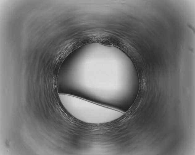X0000103301108200808291124