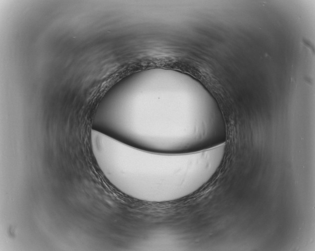 X0000103301109200808291124