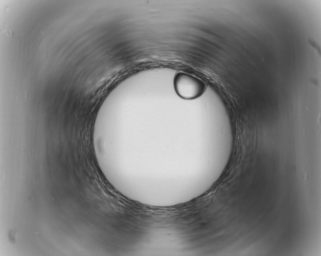 X0000103301110200808291124