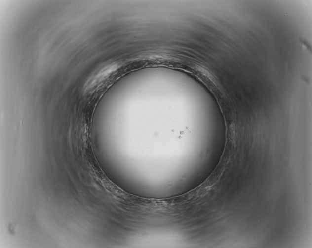 X0000103301111200808291124