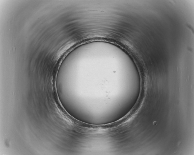 X0000103301113200808291124