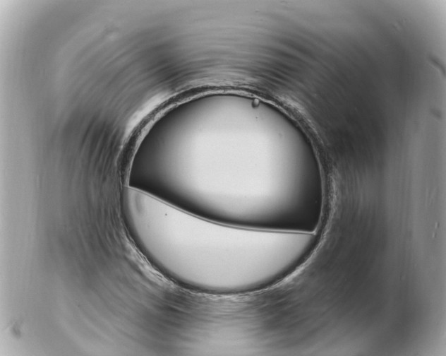 X0000103301114200808291124
