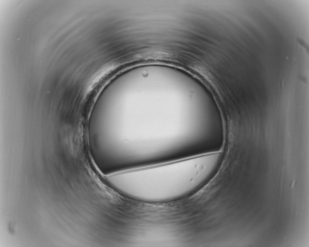 X0000103301115200808291124