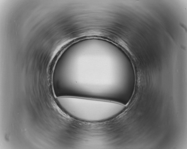 X0000103301116200808291124