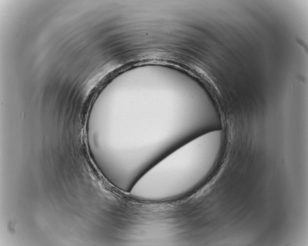 X0000103301117200808291124